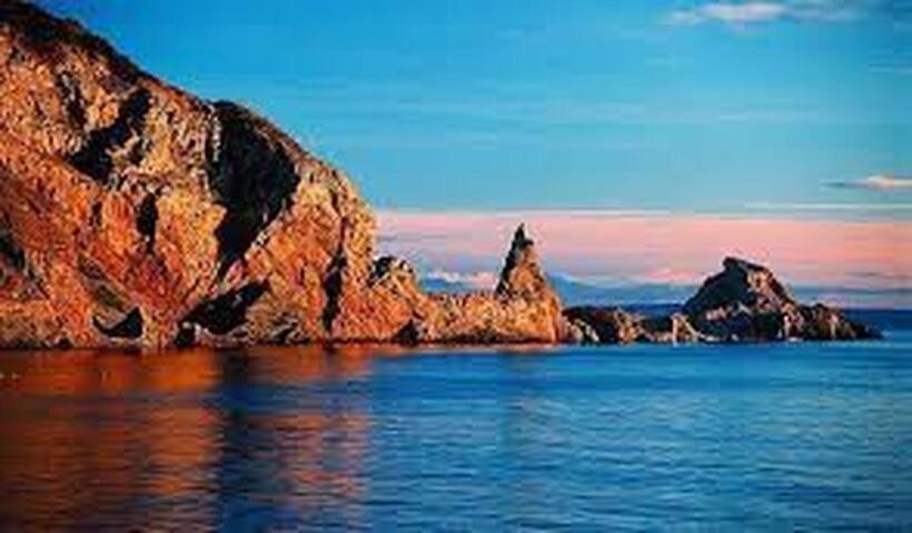 Halekulani Devon Homestay Torquay Extérieur photo