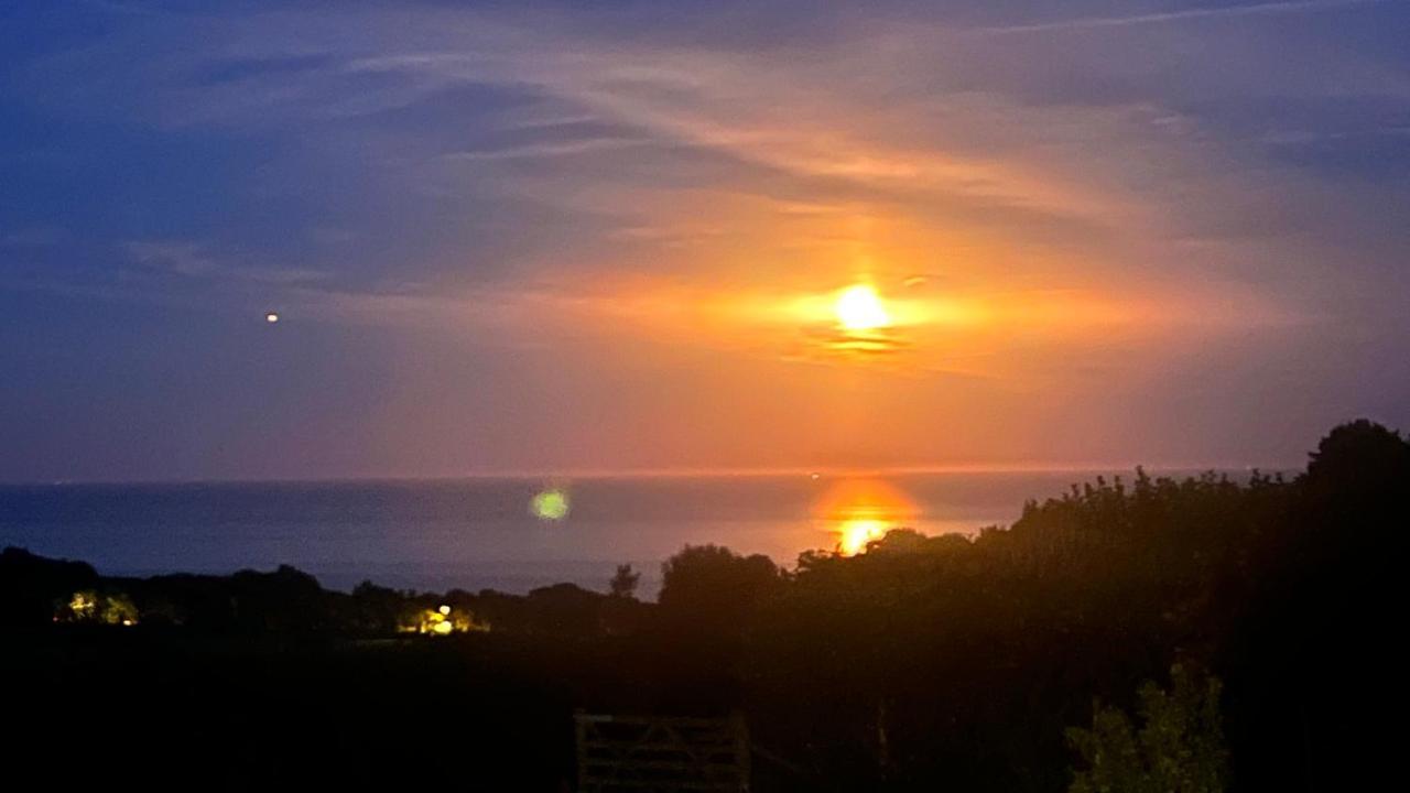 Halekulani Devon Homestay Torquay Extérieur photo