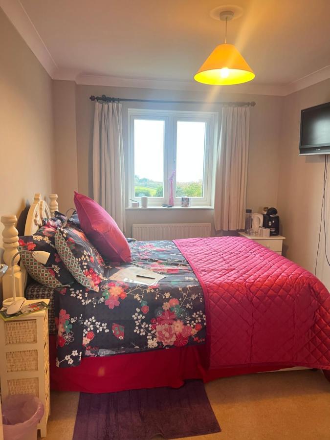 Halekulani Devon Homestay Torquay Extérieur photo